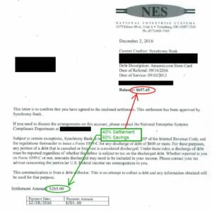 NES : National Enterprise system
